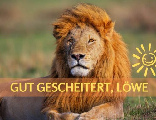 Angst vor dem Scheitern: Warum Dein Gehirn bremst. Und 3 Tipps, mit denen Du trotzdem mehr wagst